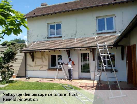 Nettoyage demoussage de toiture  butot-76890 Renold rénovation