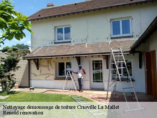 Nettoyage demoussage de toiture  crasville-la-mallet-76450 Renold rénovation